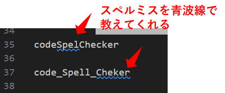 code spell checkのタイプミスの表示